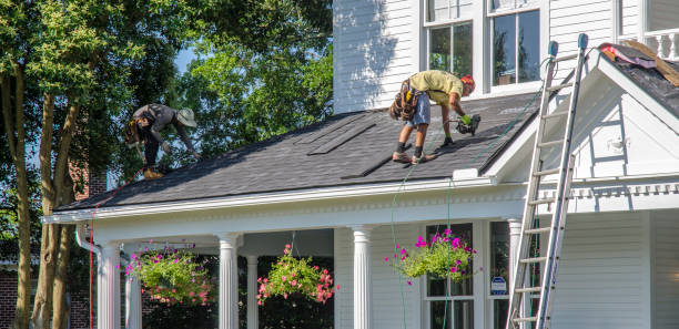 Best Roof Insulation Installation  in New Haven, WV